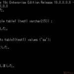 Oracleの権限分析を検証してみた！やり方や注意点を解説